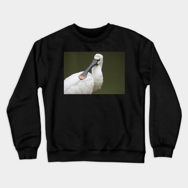 A Beautiful Royal Spoonbill Crewneck Sweatshirt by MinnieWilks